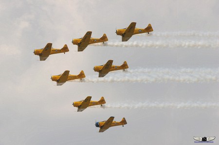 Harvards